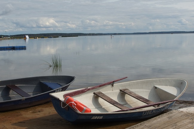 Ваколіцы